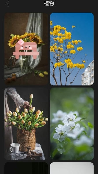 布丁壁纸下载 v9.7.8 0