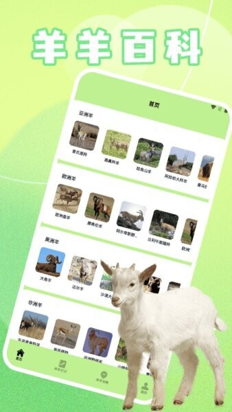 羊羊多福下载 v1.6 0