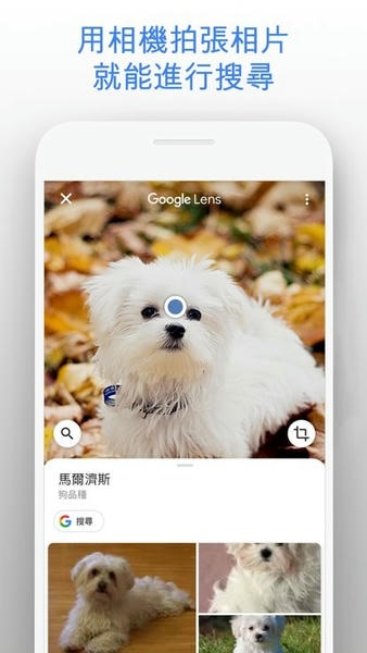 Google搜索下载 v17.7.60.ve.x86 0
