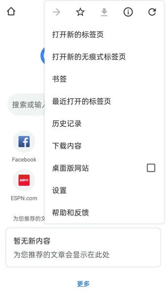 谷歌浏览器GoogleChrome下载 v138.0.7204.45 0