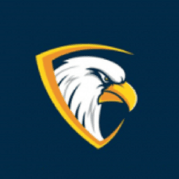 雄鹰影视电视版