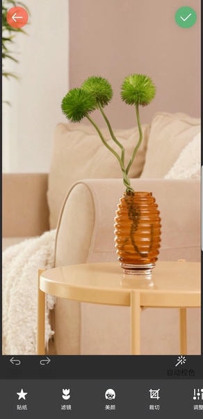 镜像相机下载 v2026.02.300 3