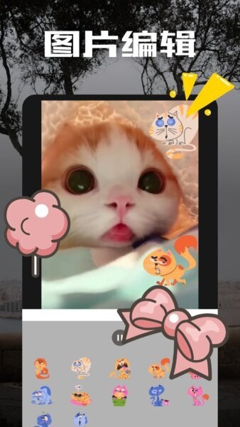 二皮剪辑下载 v1.2 1