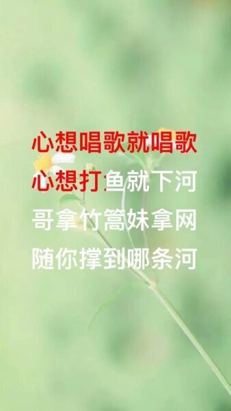 山歌宝典下载 v1.5.11 2