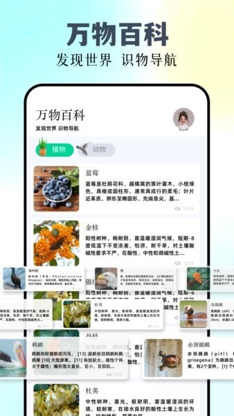 识万物下载 v1.12 1
