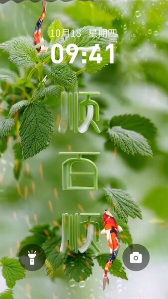 快闪壁纸下载 v1.0.100 0