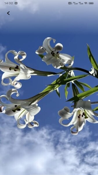 码精灵生成器下载 v1.0.42