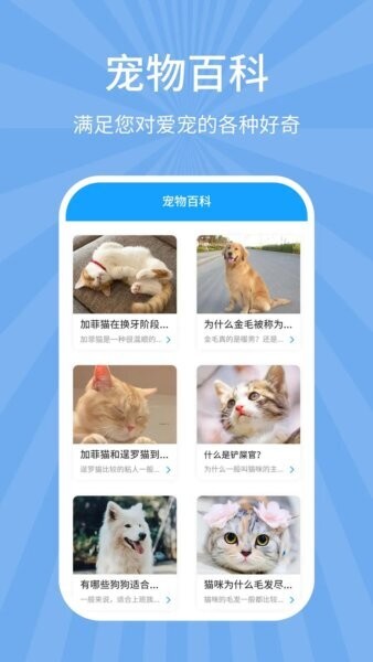 狗猫翻译器免费版下载 v7.8.1 2