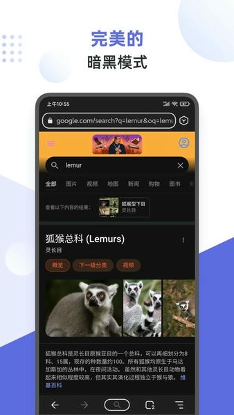 狐猴浏览器下载 v2.7.3.021 2