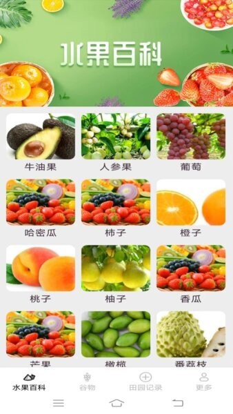 掌上果果多下载 v2.4.7.2 0