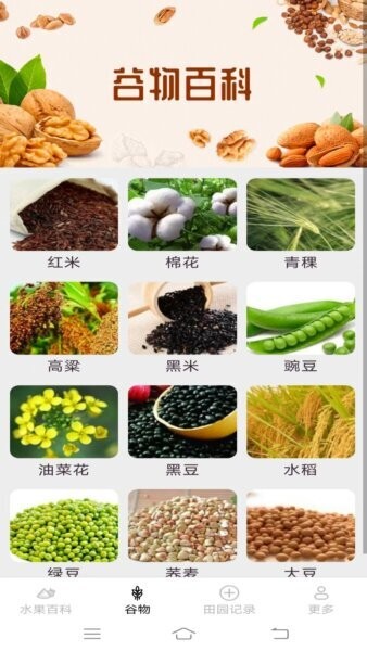 掌上果果多下载 v2.4.7.2 1
