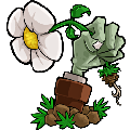 植物大战僵尸3D电脑版 